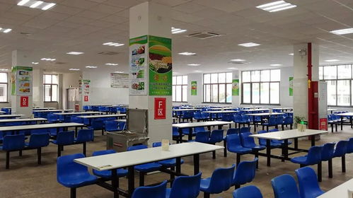 速看！麗水130家學(xué)校、幼兒園獲評(píng)餐飲服務(wù)食品安全A級(jí)單位